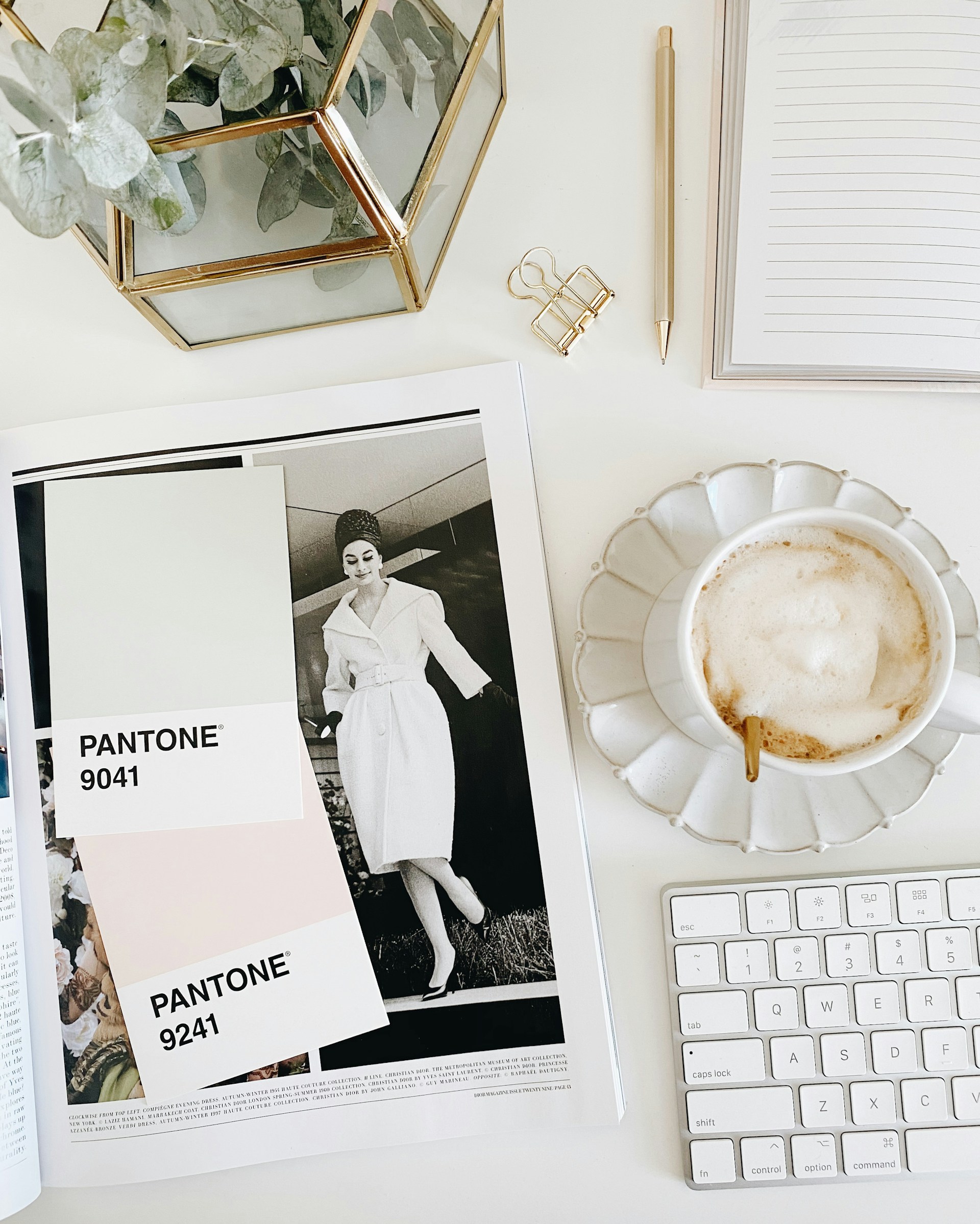 couleurs pantone pour logo